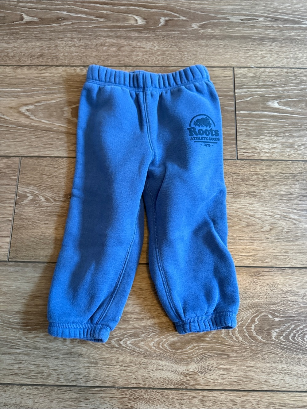 Roots Kids Royal Blue Fleece Joggers